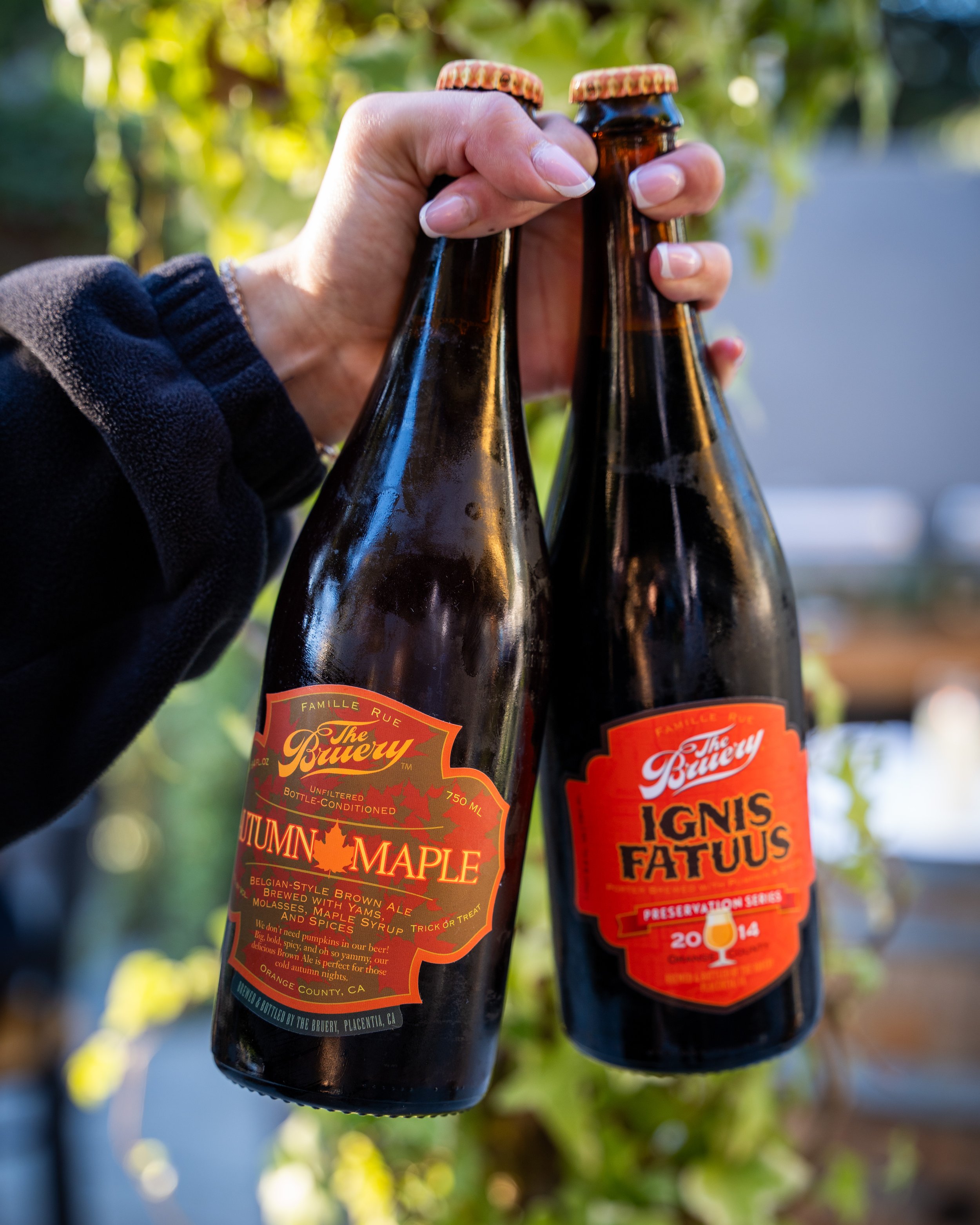 Two glass bottles of craft beer being held outdoors with a hand. The labels read 'Autumn Maple' and 'Ignis Fatuus' from The Bruery brewery, with a background of greenery and sunlight.