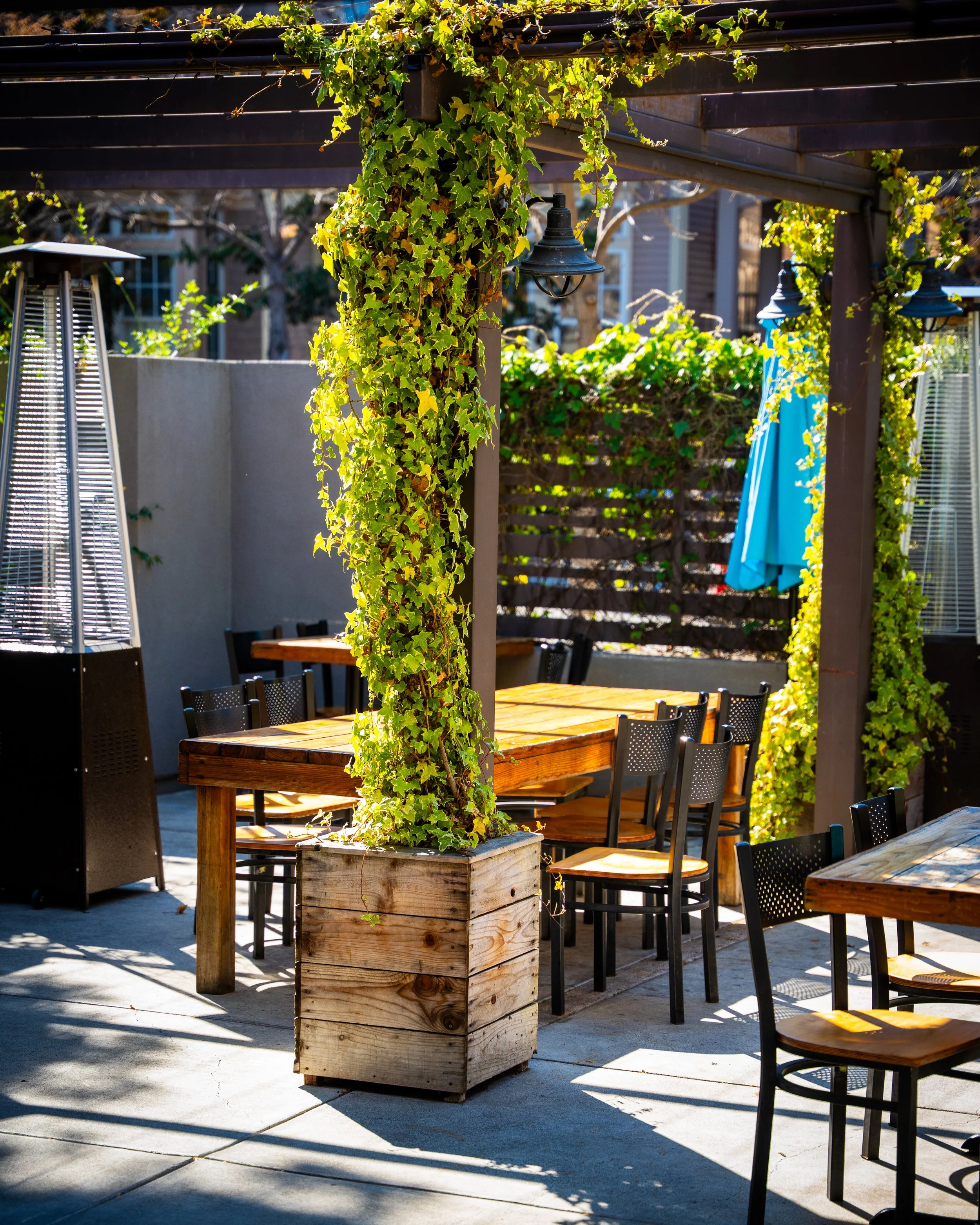 Outdoor patio with wooden tables and black chairs, decorated with green ivy climbing on wooden posts under a pergola, with a patio heater and a blue umbrella in the background.