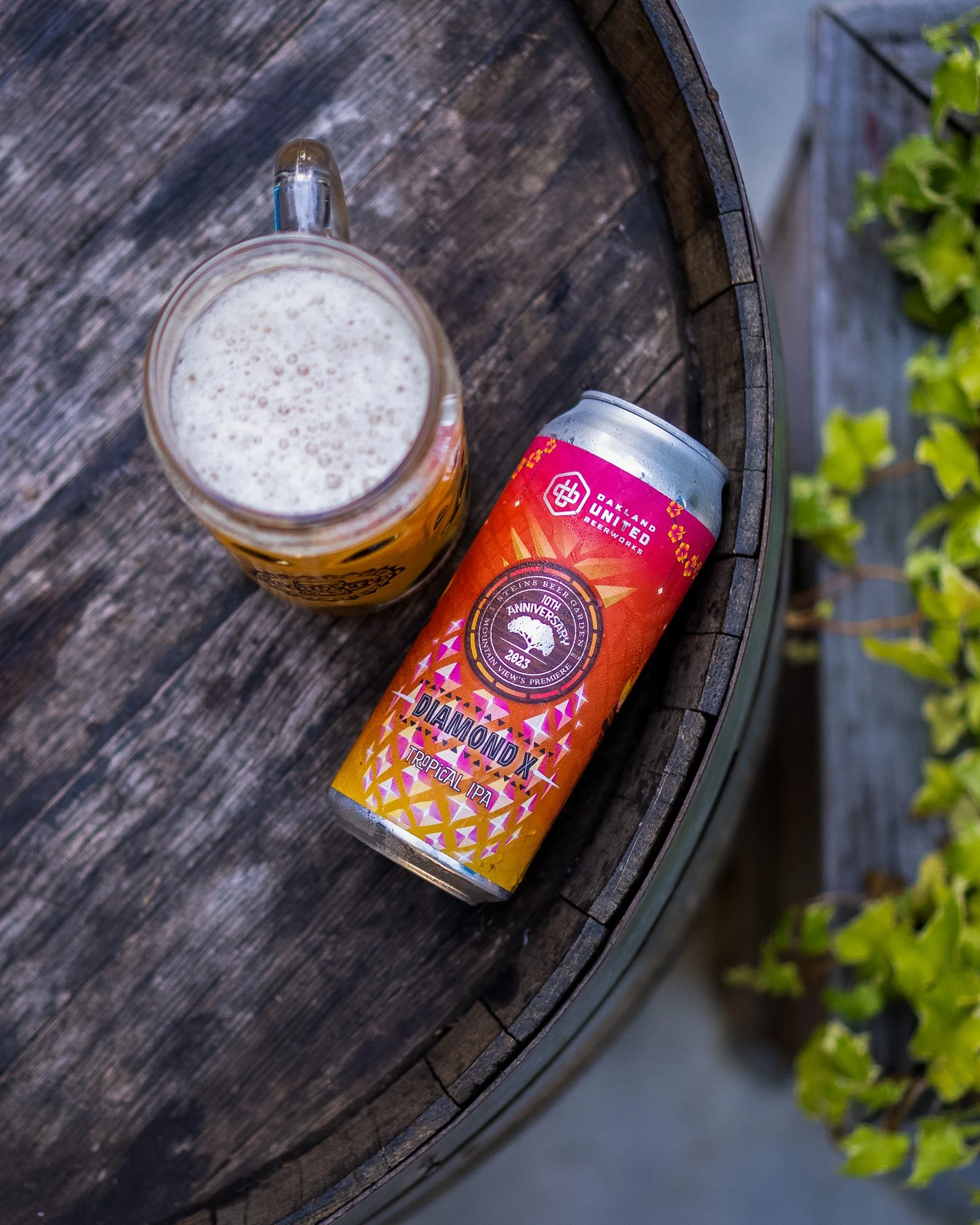 A can of Diamond X Tropical IPA beer and a mug of beer on a rustic wooden barrel with green foliage on the side.
