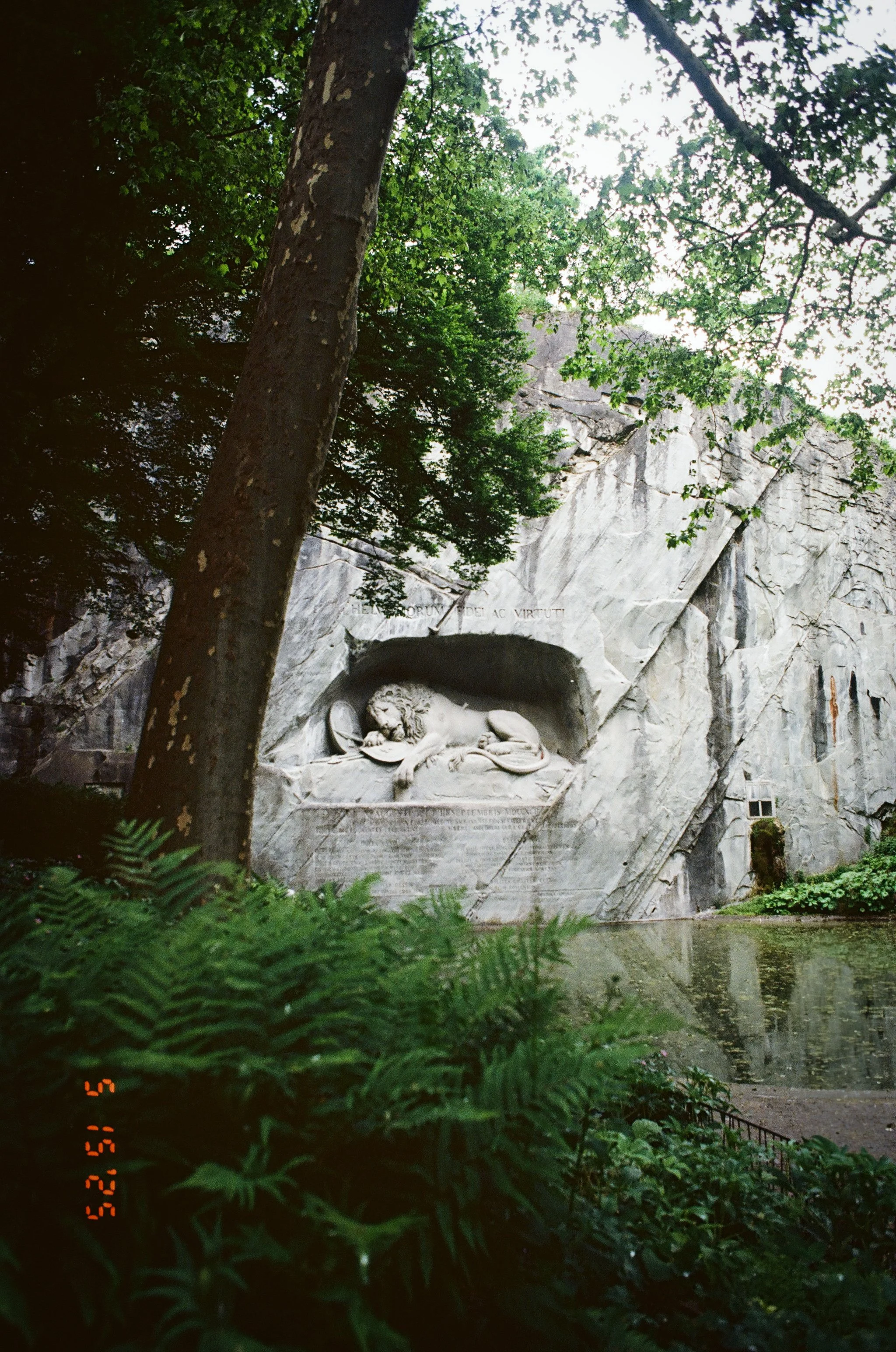 787211_0002.JPG