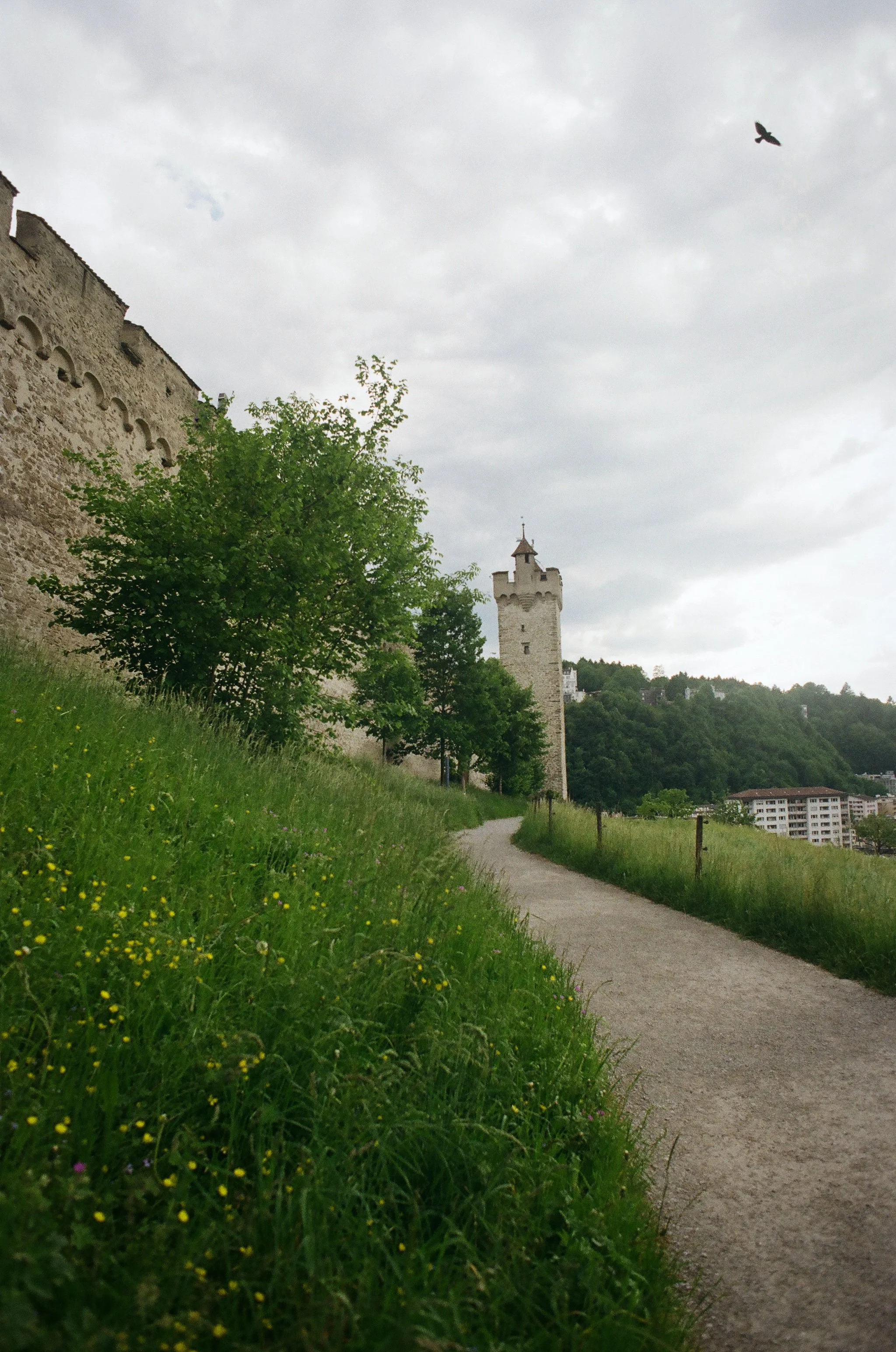 787231_0020.JPG
