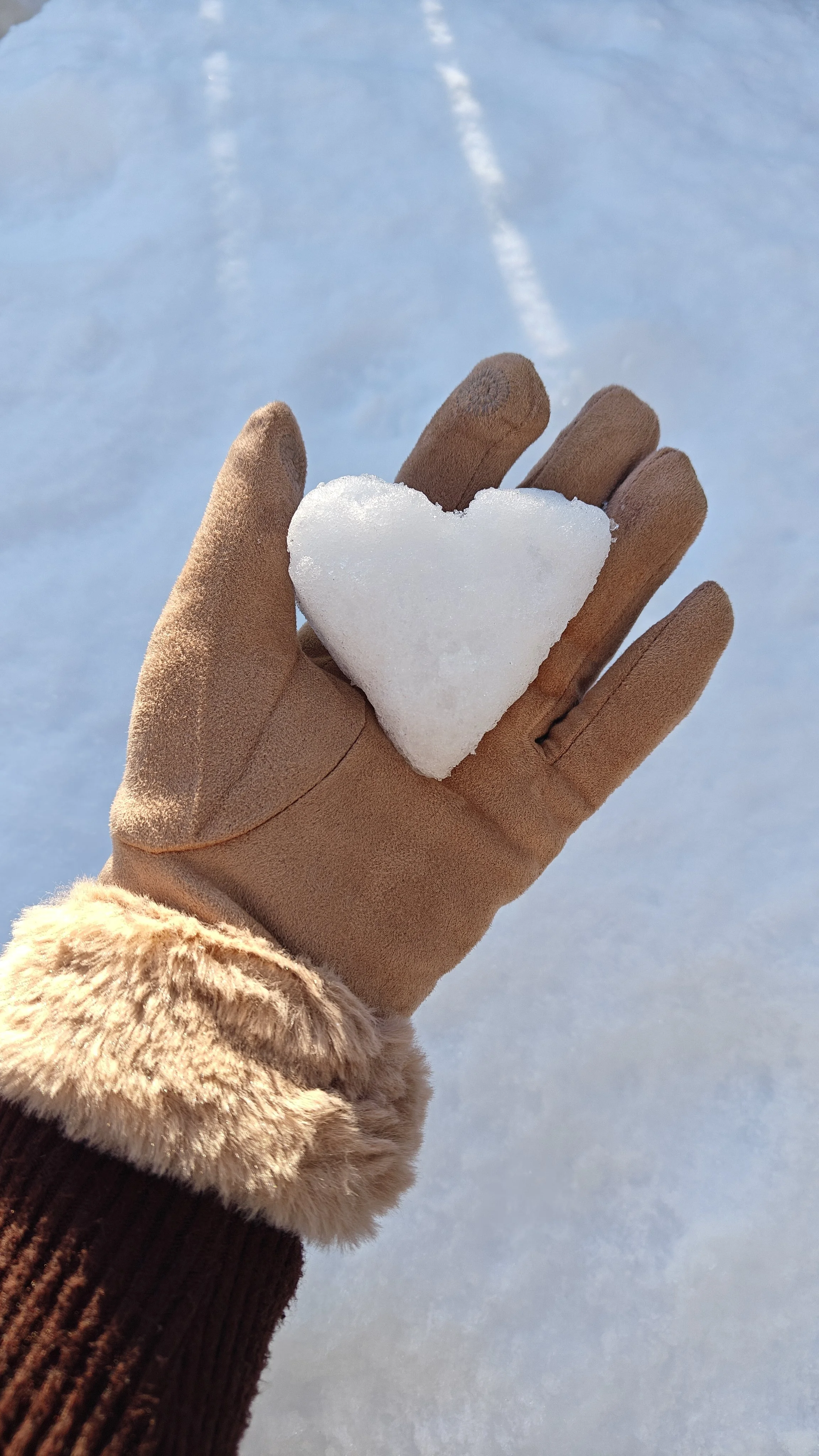 Easy Peasy Snow Day Activities to Do With Your Kiddos!