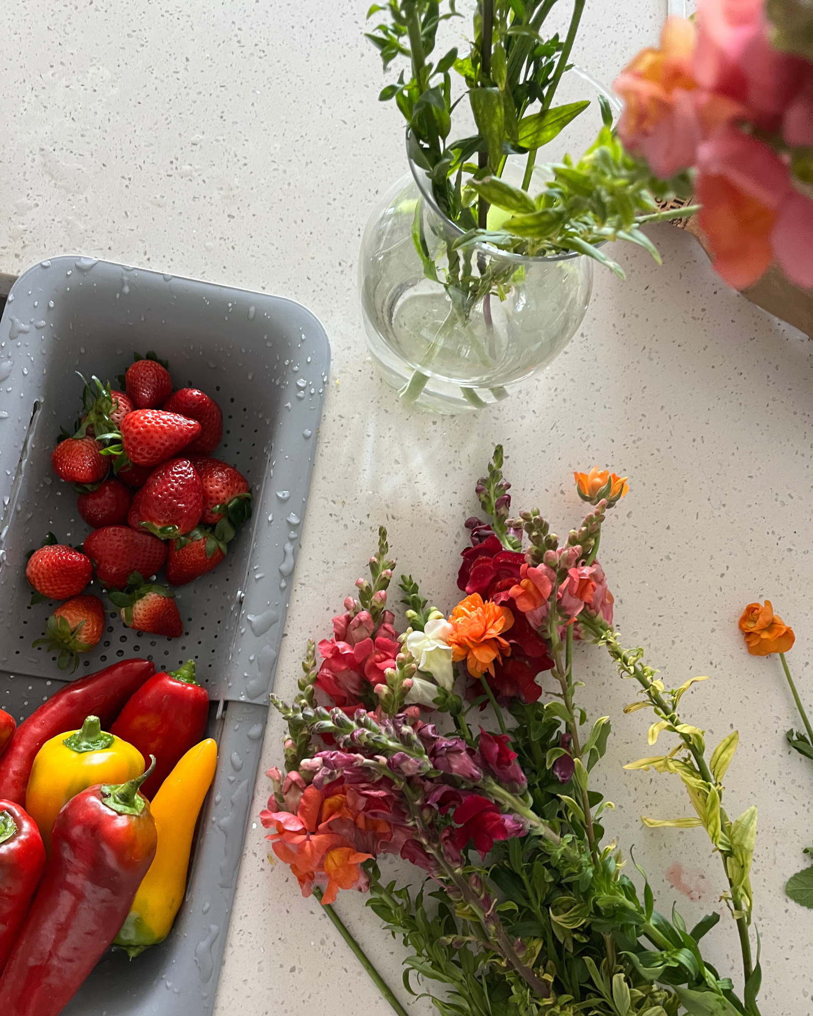 🌱 Spring Gardening in West Texas: What Grows Best in Lubbock