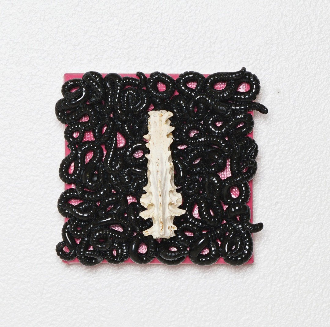 Worm-Food-1.jpg