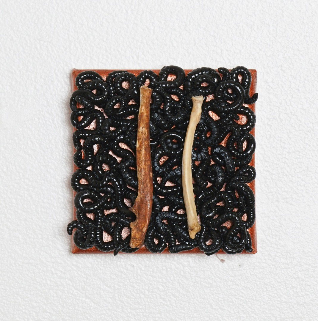 Worm Food 5