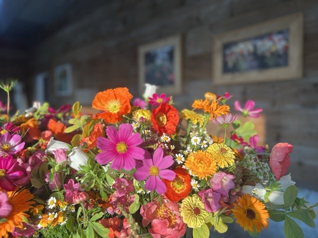 IMG_8576 Medium.jpeg