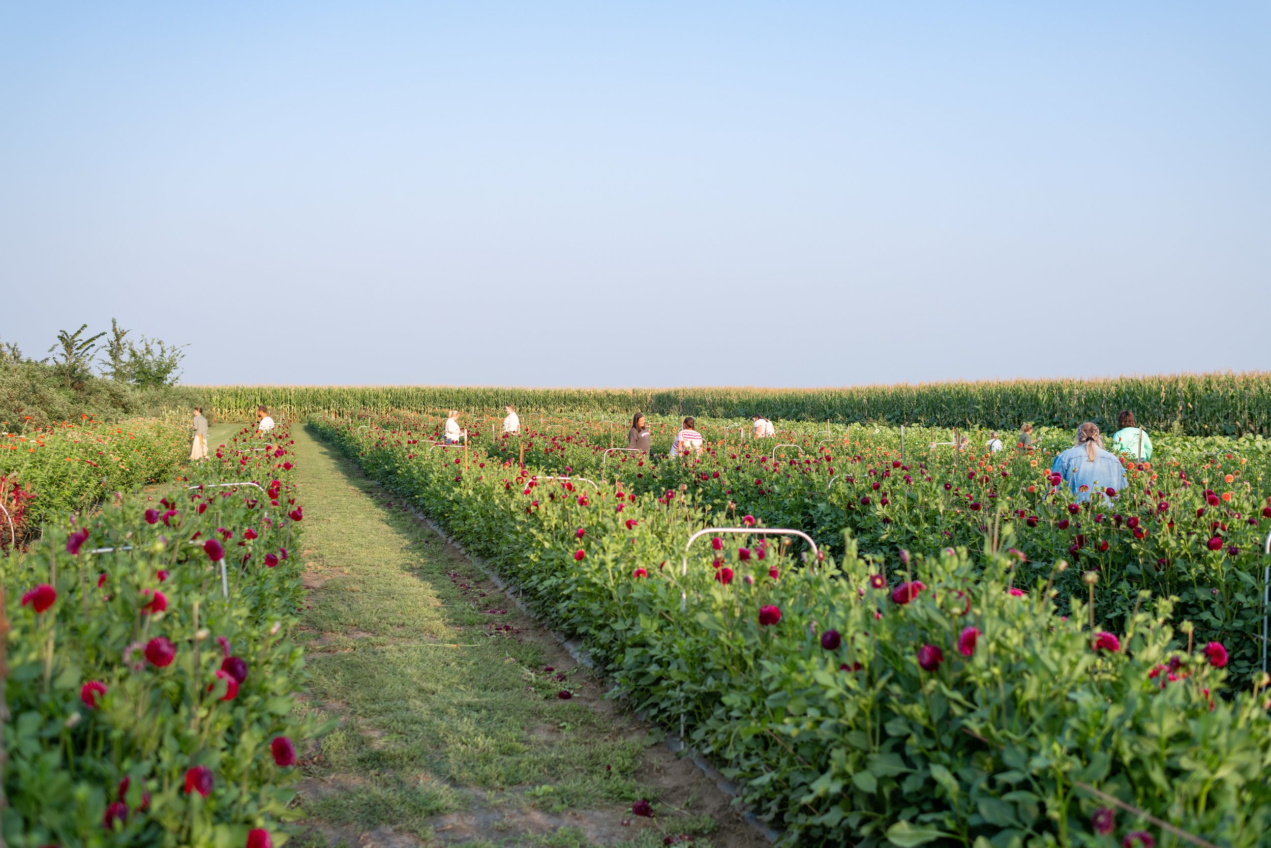DSC_0782resize.jpg