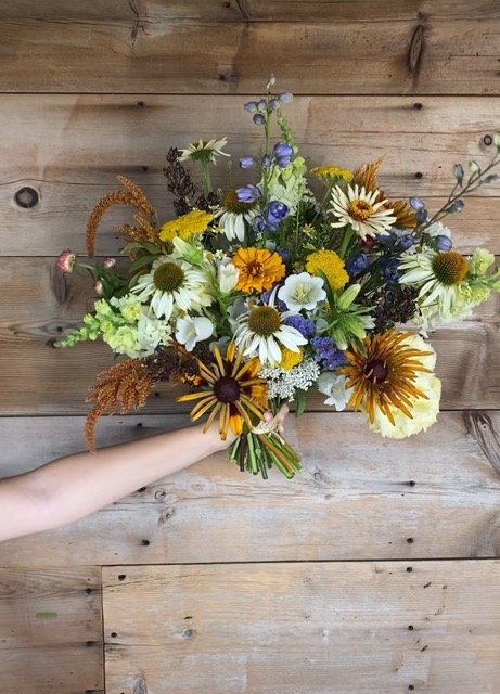 IMG_9844 Medium.jpeg