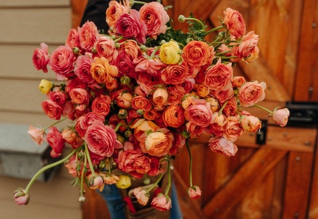 DSC_6486-2 Medium.jpeg