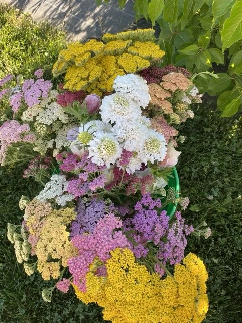 IMG_9138 Medium.jpeg