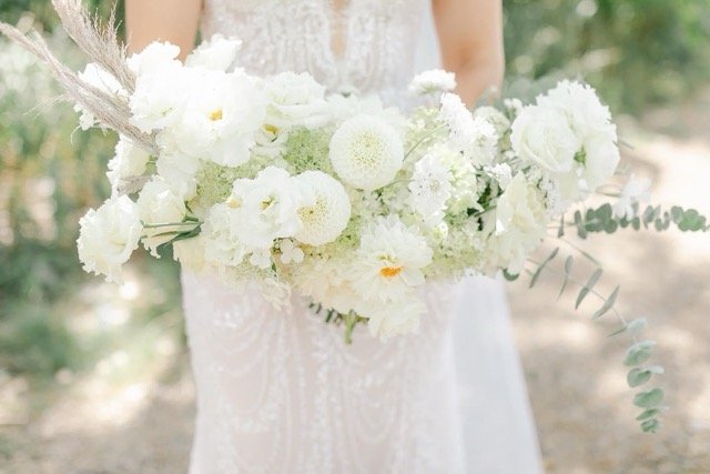 IMG_0303 Medium.jpeg