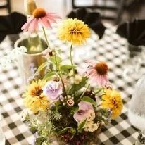 315112146_10160049737314544_1070412266096676533_n Medium.jpeg