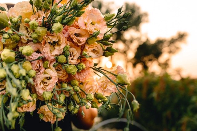 DSC_0669 Medium.jpeg