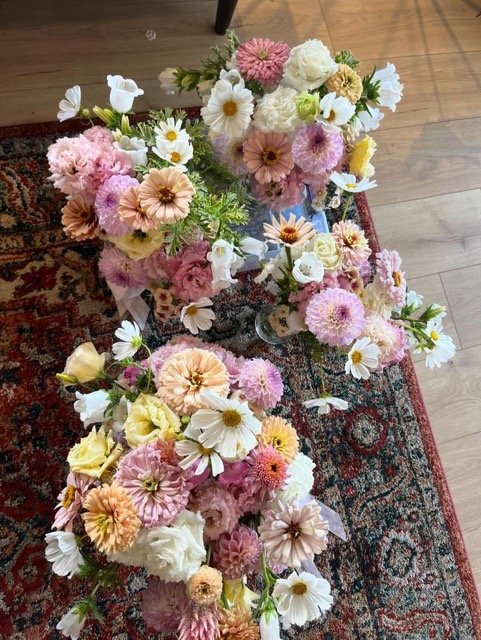 1B2CFB2B-64E6-4159-953D-5BCA9675DF7E Medium.jpeg