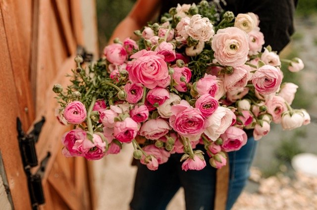 DSC_6555 Medium.jpeg