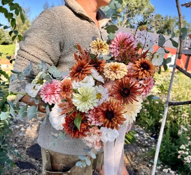 IMG_4522 Medium.jpeg