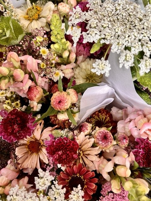 IMG_3823 Medium.jpeg