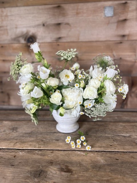 IMG_8228 Medium.jpeg