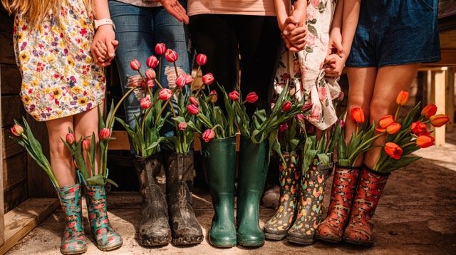 DSC_8485resize Medium.jpeg