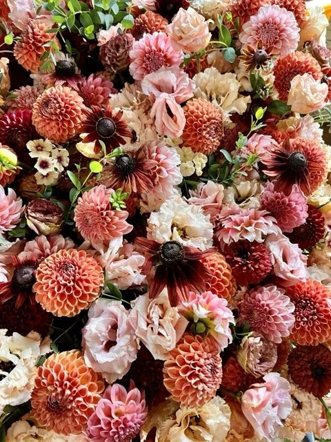 IMG_4969 Medium.jpeg