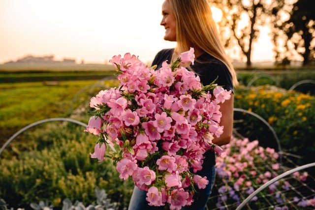 DSC_0411 (1) Medium.jpeg