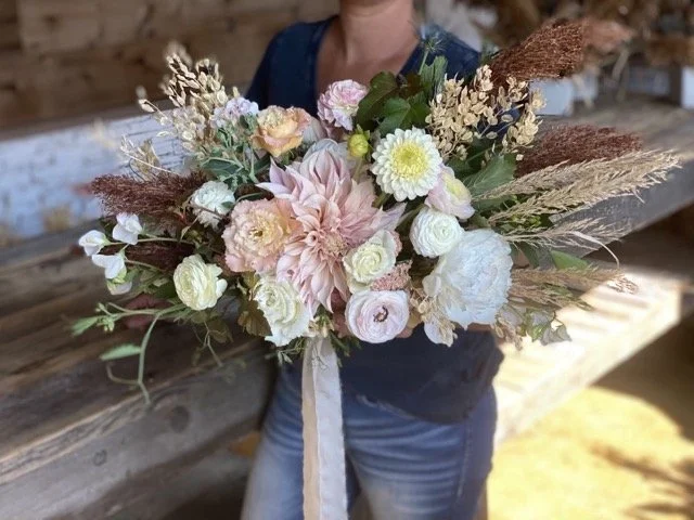 214450238_1140627033125452_8977643942655849274_n Medium.jpeg