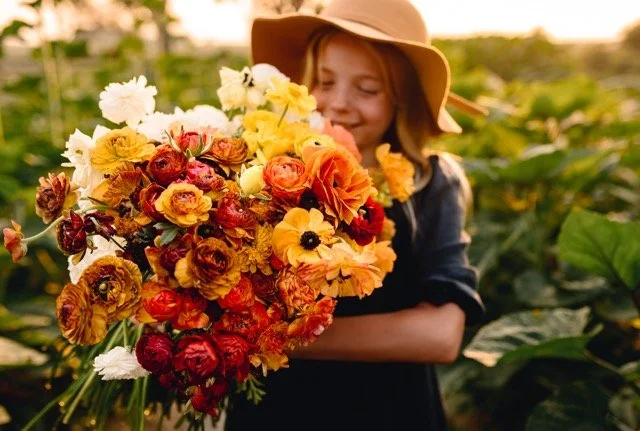 DSC_0347 (1) Medium.jpeg