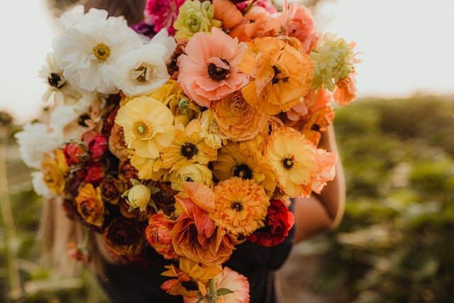 DSC_0375 Medium.jpeg