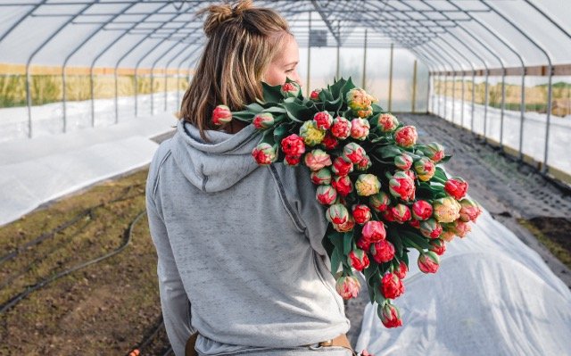 _DSC5198-2 Medium.jpeg