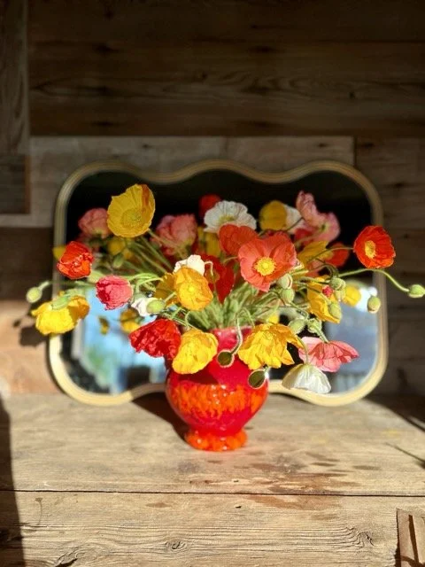 IMG_8328 Medium.jpeg