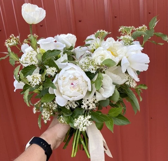 IMG_8703 Medium.jpeg