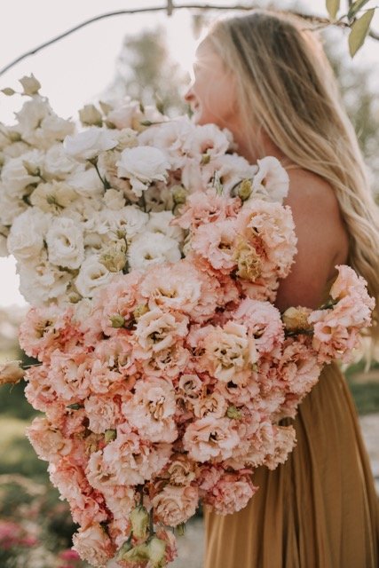 DSC_2453 - Copy Medium.jpeg