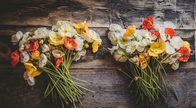 _DSC5463 (1) Medium.jpeg