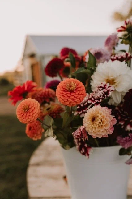 DSC_2440-2 (1) - Copy Medium.jpeg