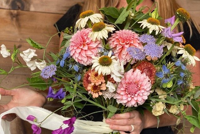 271275720_1257272051460949_6516031851594302305_n Medium.jpeg