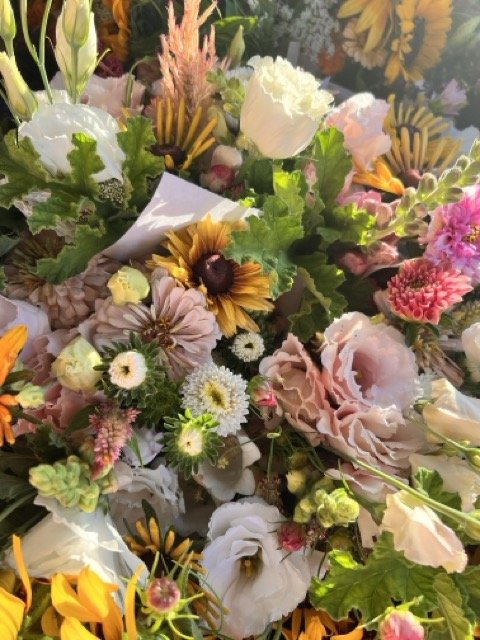 IMG_4531 Medium.jpeg