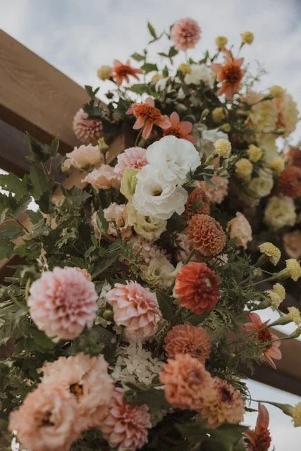 thebleeker_s-56 Medium.jpeg