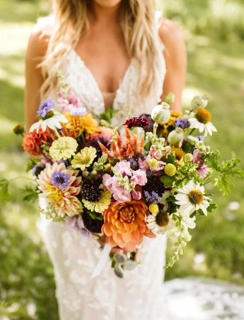 315931616_10160071252559544_377271295316063229_n1 Medium.jpeg