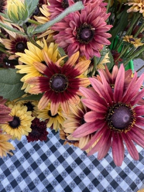 IMG_3834 Medium.jpeg