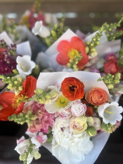 IMG_8051 Medium.jpeg