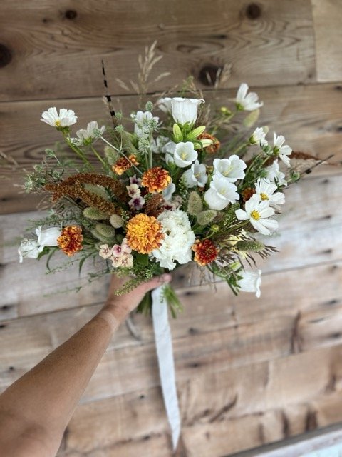 IMG_8771 Medium.jpeg