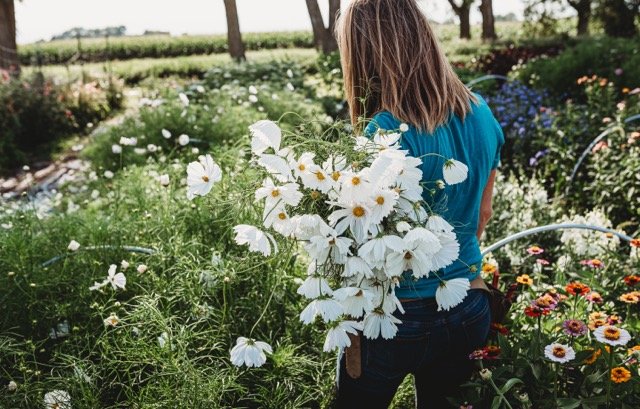 _DSC9468-2 (1) Medium.jpeg