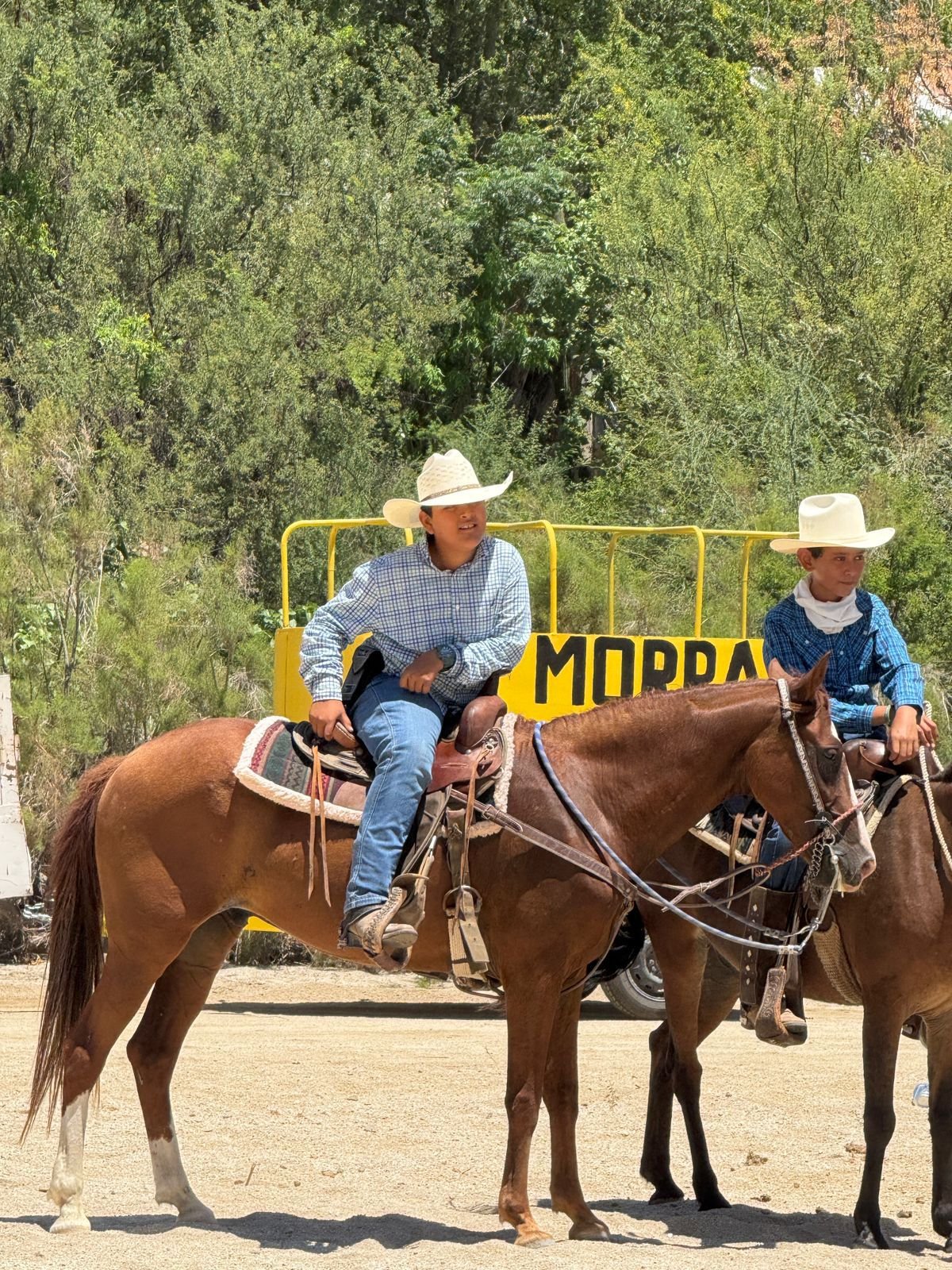 Two people riding horses, wearing cowboy hats, with a yellow sign that reads 'MORRA' in the background, beside a dirt road and green trees.