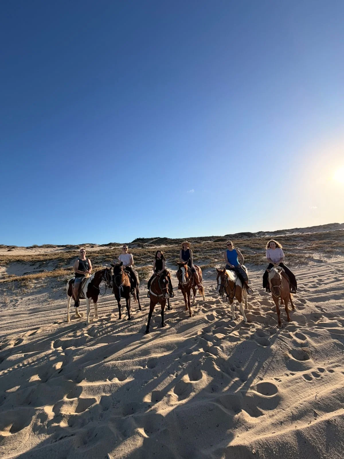 WhatsApp Image 2026-02-16 at 18.22.19.jpeg