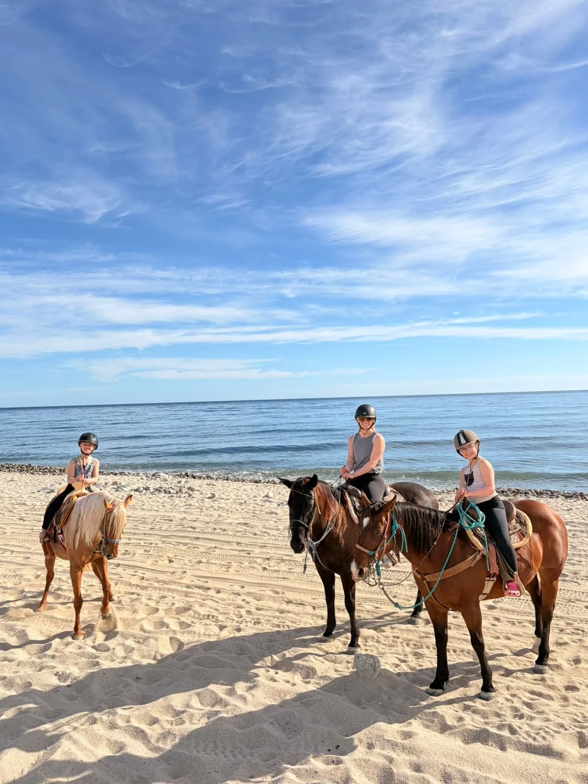 WhatsApp Image 2026-02-16 at 19.19.13 (1).jpeg