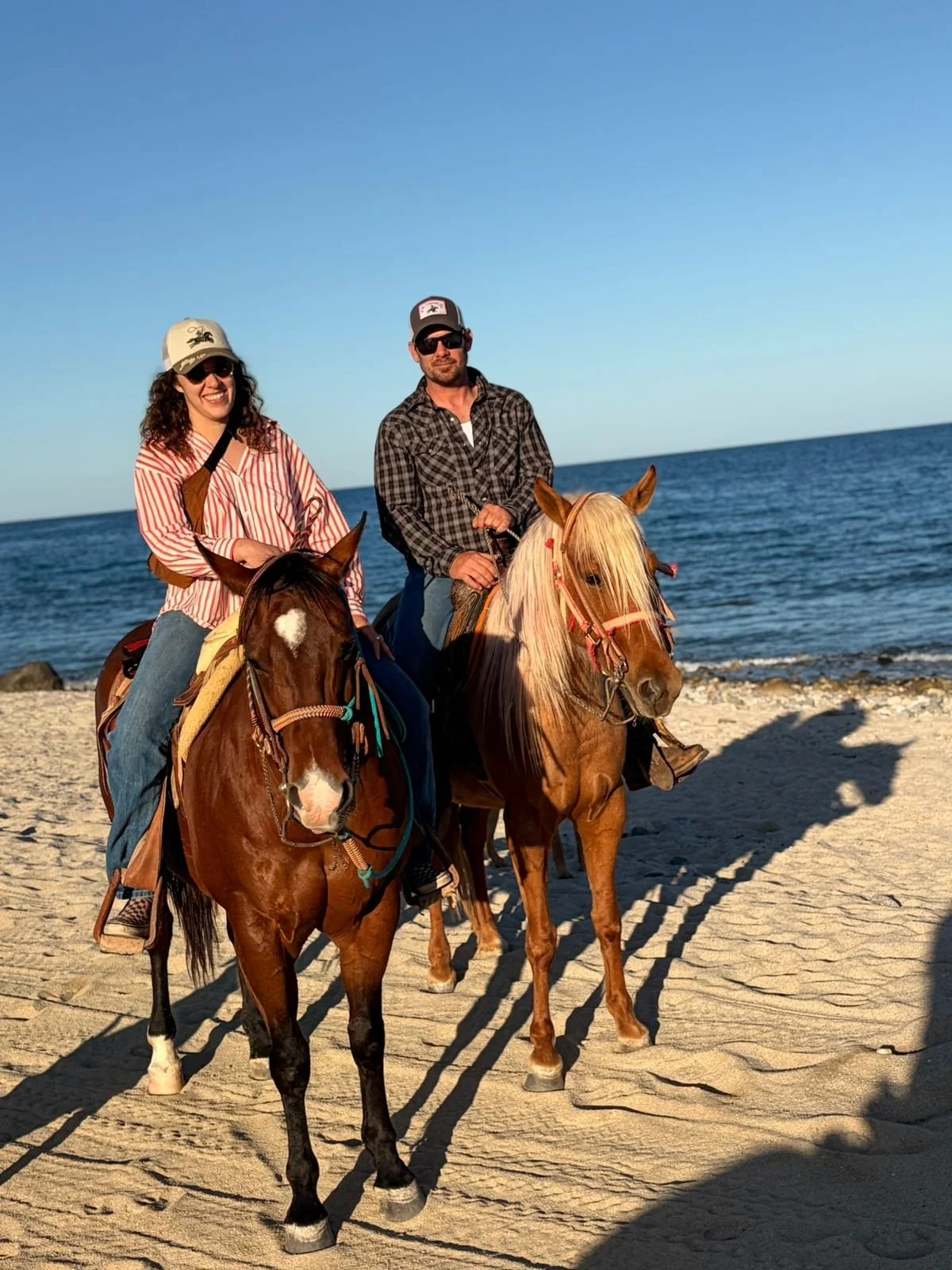 WhatsApp Image 2026-02-16 at 19.19.13 (4).jpeg