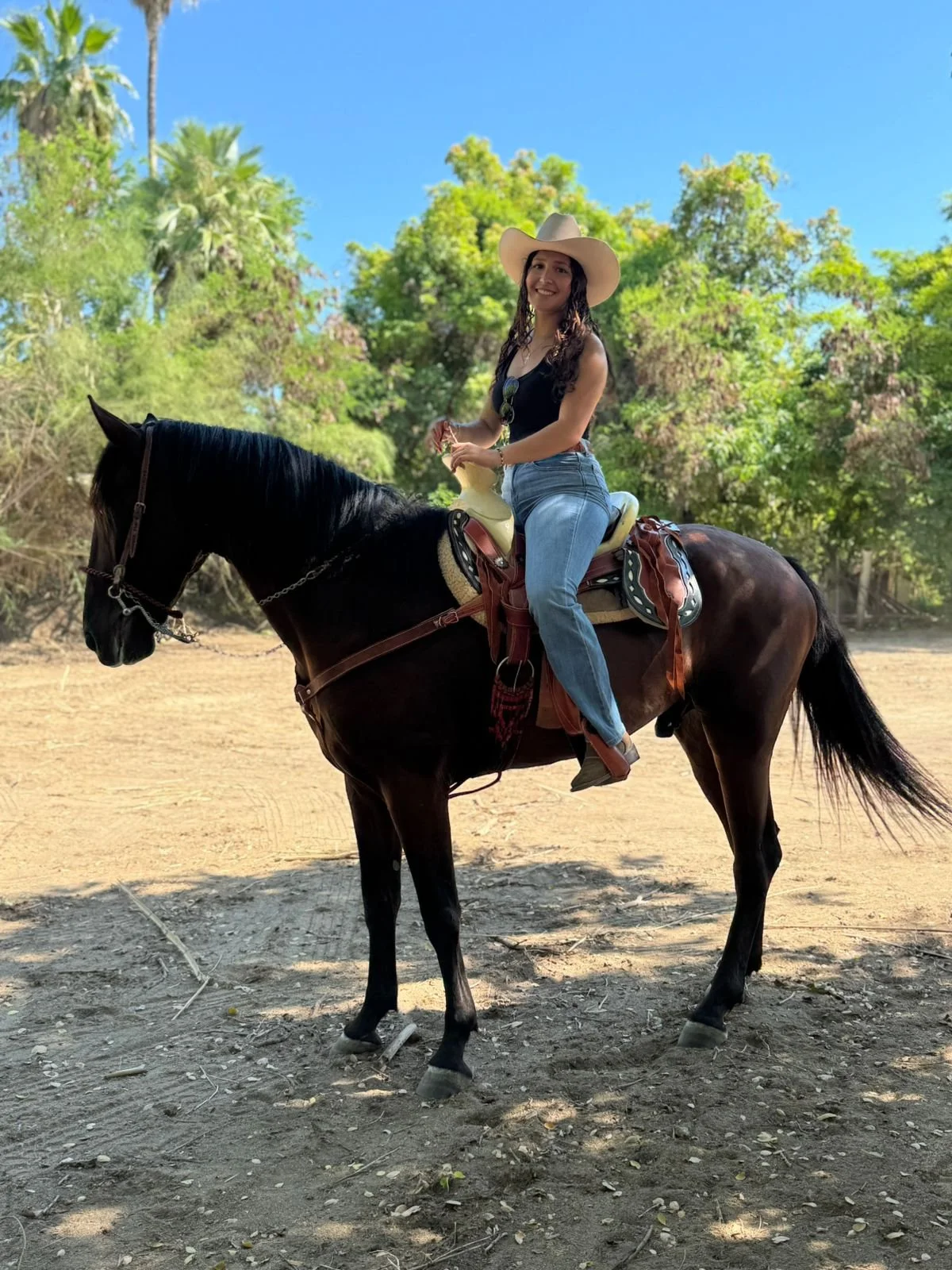 A woman wearing a cowboy hat, black top, and jeans riding a black horse on a dirt path surrounded by green trees and clear blue sky.
