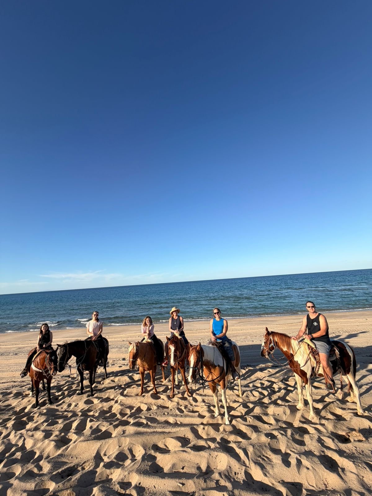 WhatsApp Image 2026-02-16 at 19.19.12.jpeg