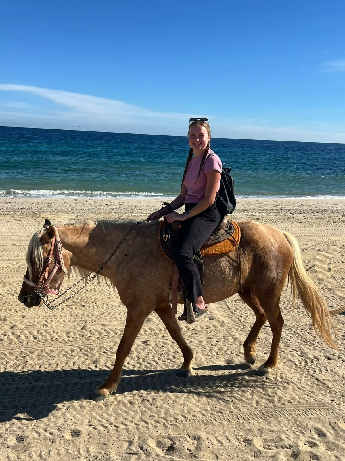 WhatsApp Image 2026-02-16 at 19.19.14.jpeg