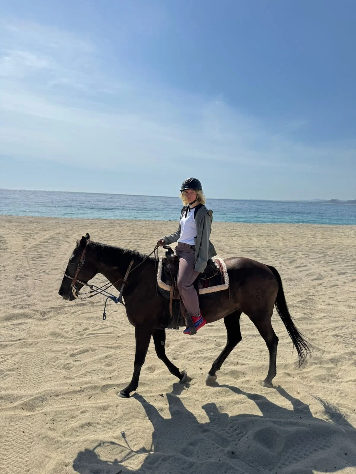 Person riding a horse on the beach with ocean and blue sky in the background.